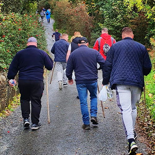 Mens Group Laois traveller action group image one.png